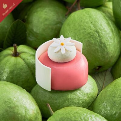 PINK GUAVA